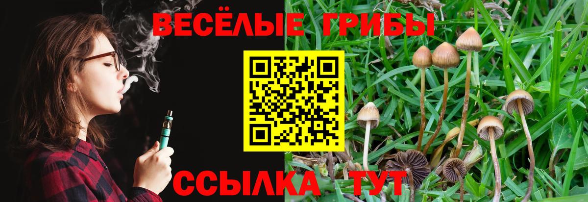 где найти наркотики  Галлюциногенные грибы Magic Shrooms  Вход с VPN  Томск 